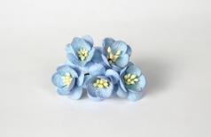 Cherry blossom - Baby blue