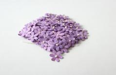 Tiny flowers - Lilac