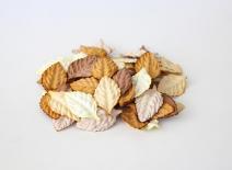 Leaves - Brown colors