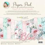 Paper 15x15cm - Blush