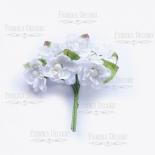 Peach blossom - White