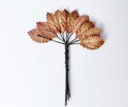 Leaves 25 mm - Brown