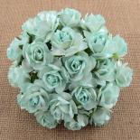 Roses 30mm - Aqua