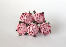 Ranunculus - Peachy pink
