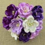 Magnolias - Purple/Lilac
