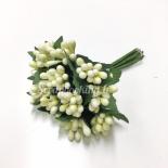 Berries - Cream