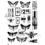 Acetate sheet - Butterflies