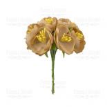 Jasmine - Beige