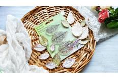 Stamps - Skeleton leaves