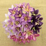 Mini lilies - Lilac/Purple