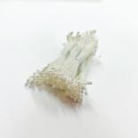 Stamens - Mini White