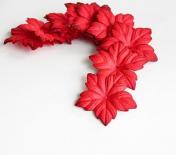 Poinsetta - Red
