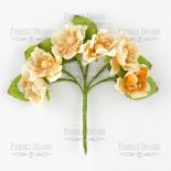 Peach blossom - Peach