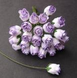 Roses - Lilac/White