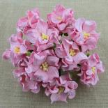 Gardenia 3.5 cm - Deep pink