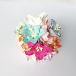 Lily - MIX