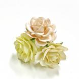 Large roses - Yellow/Peach