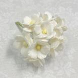 Sweetheart blossom - Ivory