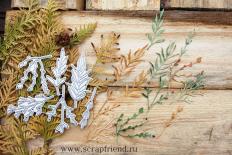 Cutting dies - Leaves