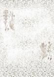 Acetāta lapa A4 - Text with herbarium