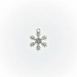 Charm - snowflake