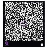 Stencil - Composition Book