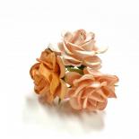 Large roses - Peach/Orange