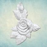 Mould - Rose