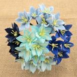 Small Lilies - Blue