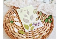 Cutting dies - Basic leaves