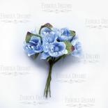 Peach blossom - Baby blue