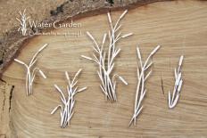 Chipboard - Cattail
