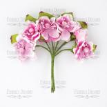 Peach blossom - Pink