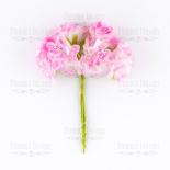 Cherry blossom - Pink