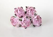 Ranunculus - Soft Pink/White