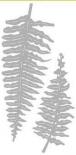 Cutting die - Fern leave