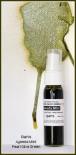 Pearl mist - Olive Green
