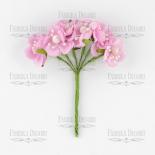 Peach blossom mini - Pink