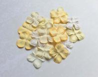 Flowers - Cream/Ivory 2.5cm