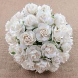 Roses 30mm - White
