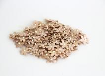 Tiny flowers - Beige