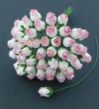 Roses - White / Pink