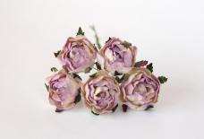 Ranunculus - Soft Lilac/Cream