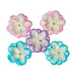 Flower set - Pastel