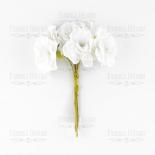 Cherry blossom - White