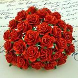 Roses 20mm - Red
