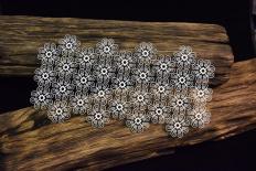 Ornamental #1