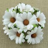Camomile - White