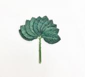 Rožu lapas 35 mm - Green