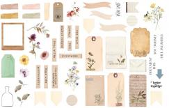 Die cuts - Herbarium